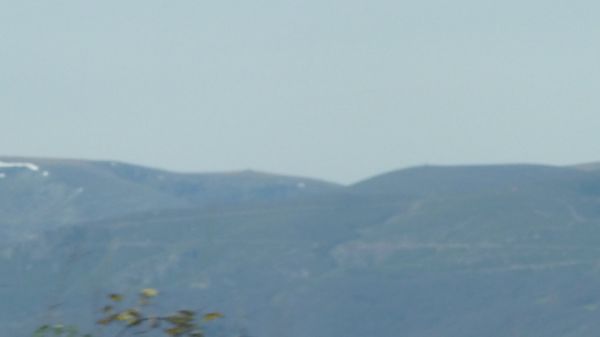 P1020651.jpg
