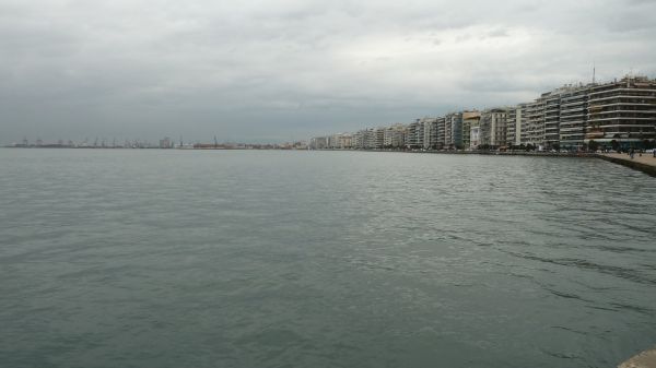 P1020759.jpg