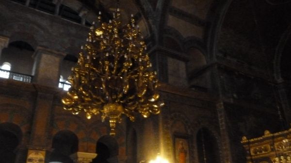 P1020772.jpg