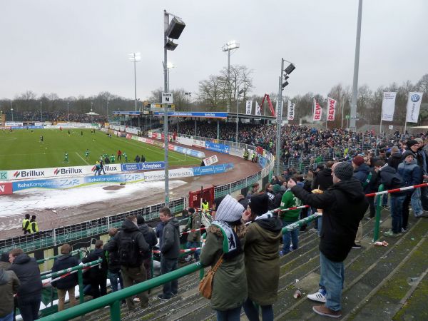 P1030042.jpg