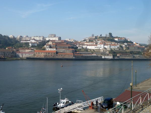 P10301017.jpg