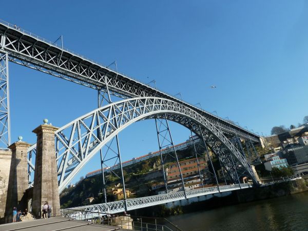 P103012833.jpg