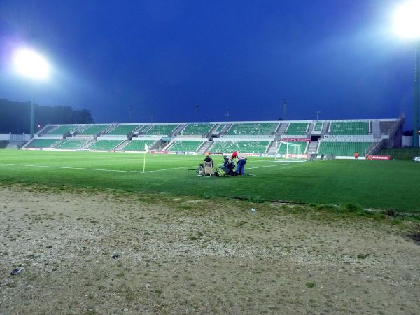 P103015156.jpg