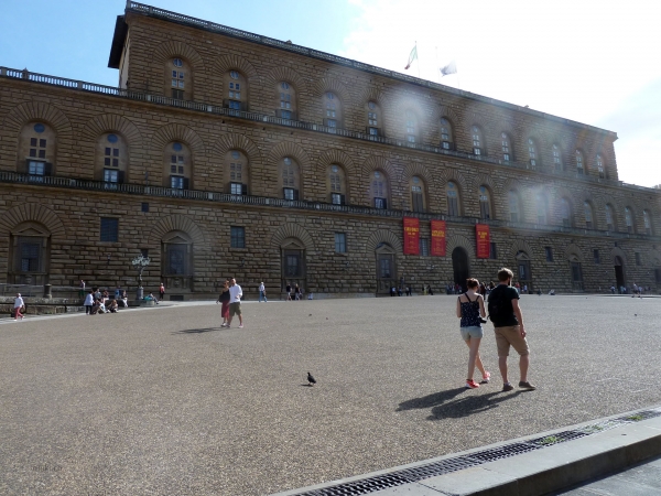 P1030236.jpg