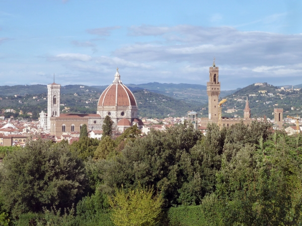 P1030257.jpg