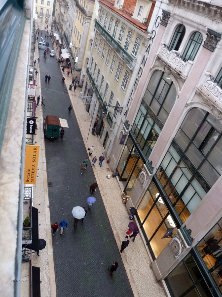 P1030269.jpg