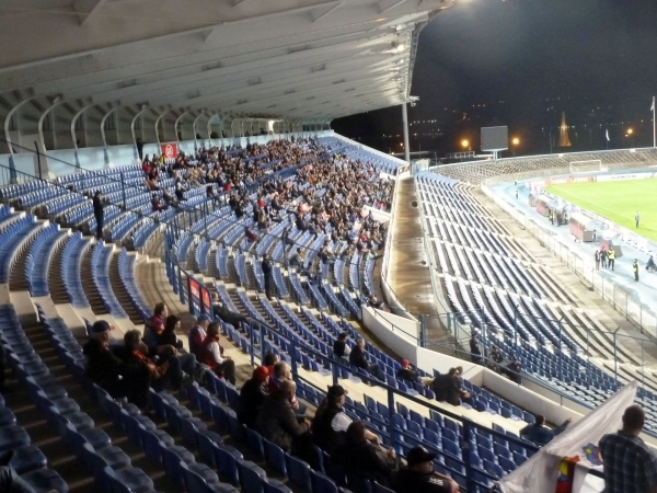 P1030276.jpg