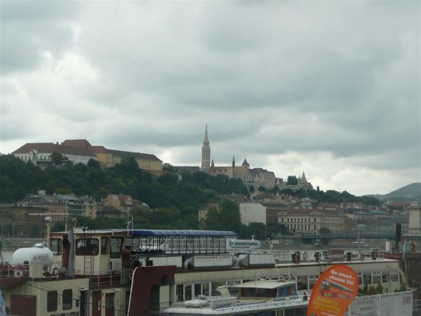 P1030513.jpg