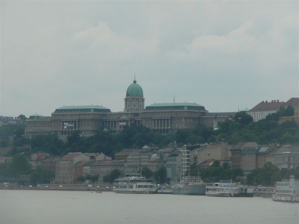 P1030543.jpg