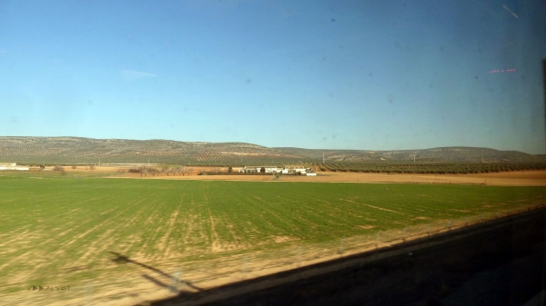 P1030567~0.jpg