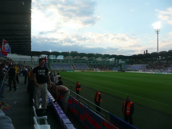 P1030589.jpg