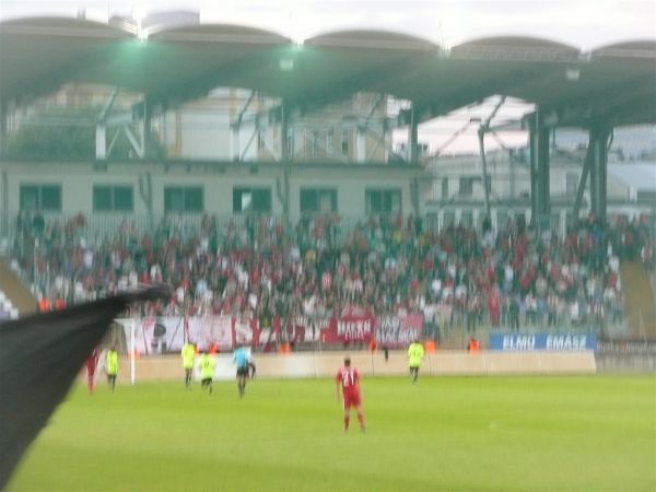 P1030597.jpg