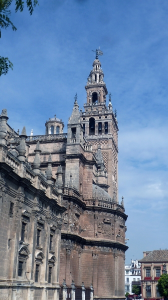 P1030603~0.jpg