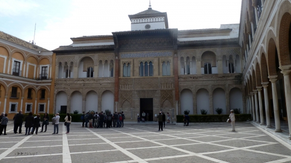 P1030609.jpg