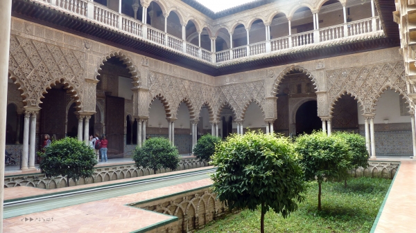 P1030616.jpg