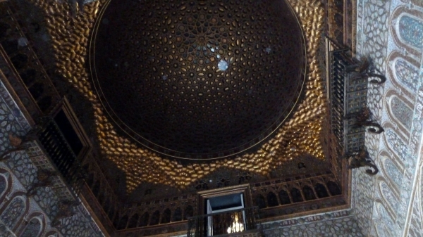 P1030620.jpg