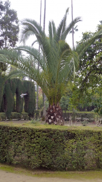 P1030638.jpg