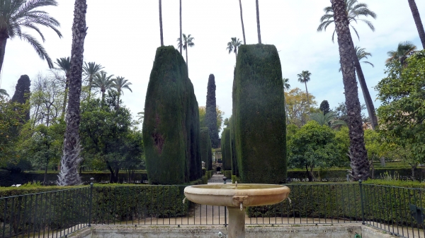 P1030641.jpg