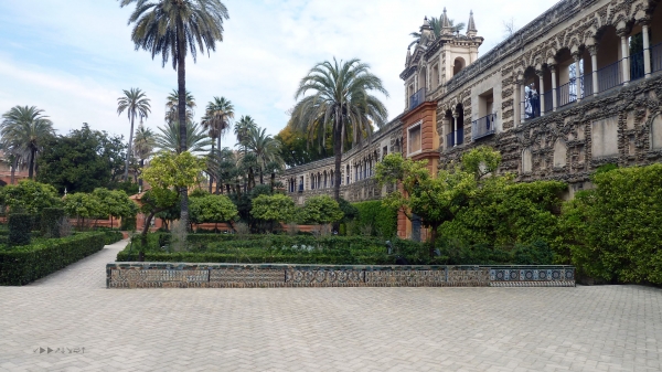 P1030645.jpg