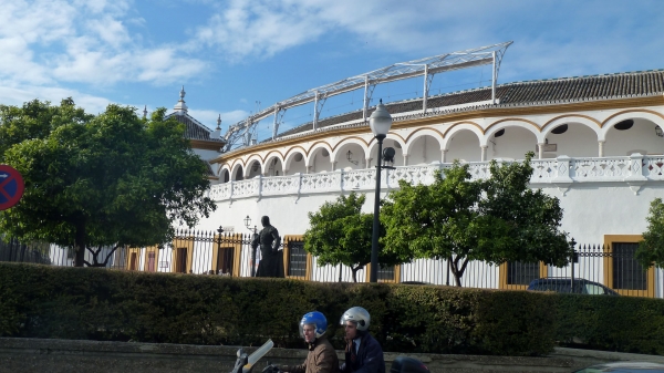 P1030671.jpg