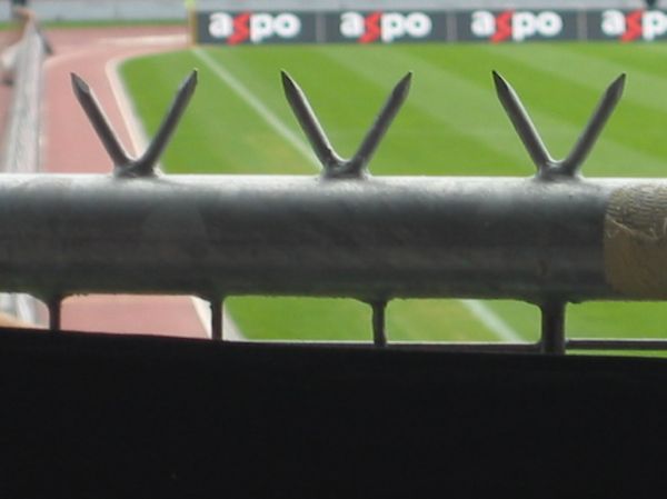 fcz_007.jpg