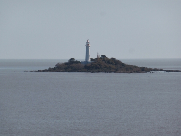 image~107.jpg
