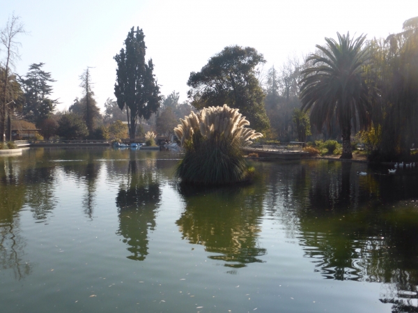 image~619.jpg