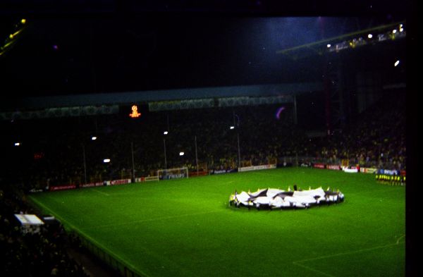 img186.jpg