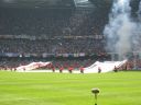 IMG_1464.jpg