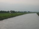 Lustenau_Juli_02_004.jpg