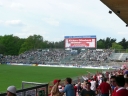 P1000254gross.jpg
