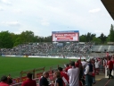 P1000257gross.jpg