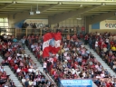 P1000264gross.jpg