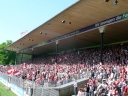 P1000274gross.jpg