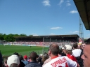 P1000277gross.jpg