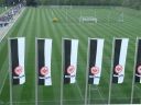 P1000429.jpg