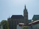 P1000479.jpg