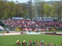 P1000509.jpg