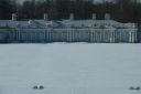P1020048.jpg
