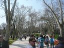 P1020203.jpg
