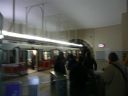 P1020326.jpg