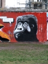 P1030334.jpg