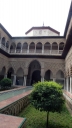 P1030615.jpg