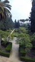 P1030652.jpg