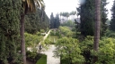 P1030654.jpg