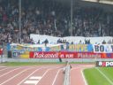fcz_010.jpg