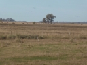 image~252.jpg