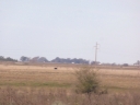 image~253.jpg