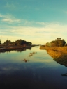 image~264.jpg