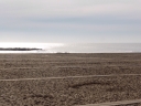 image~271.jpg